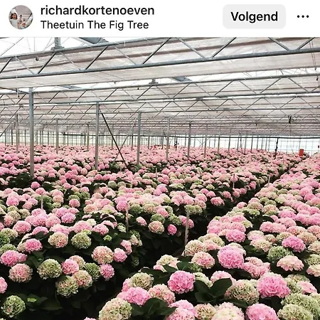 Luxe Safari Tent Luxury tent