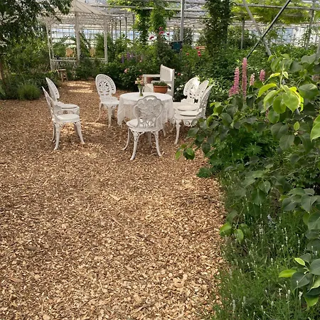 Luxe Safari Tent * Rijsenhout